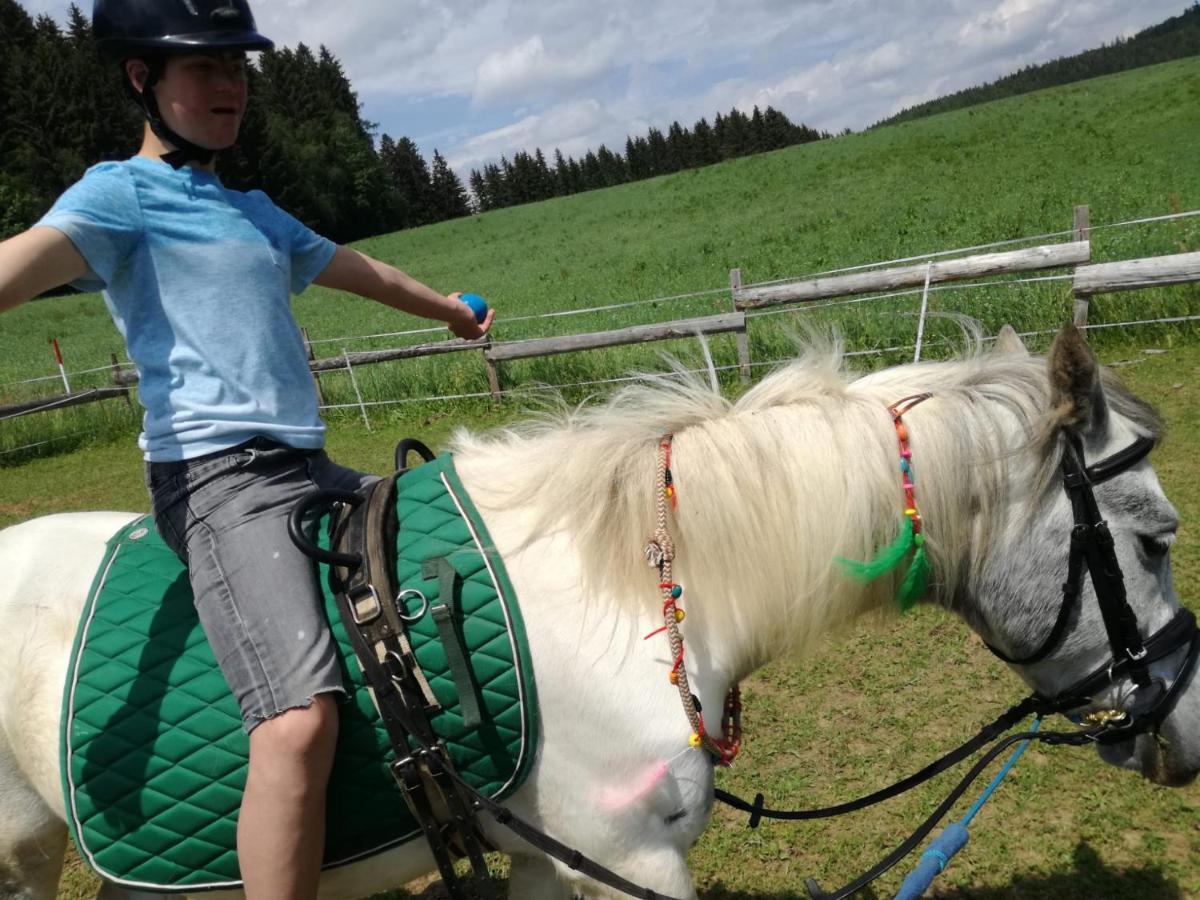 Gasthof Zum Kramer Gurk Eksteriør billede